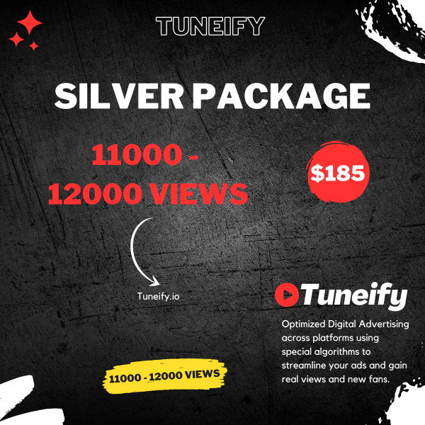 YouTube Video Promotion - Silver Package