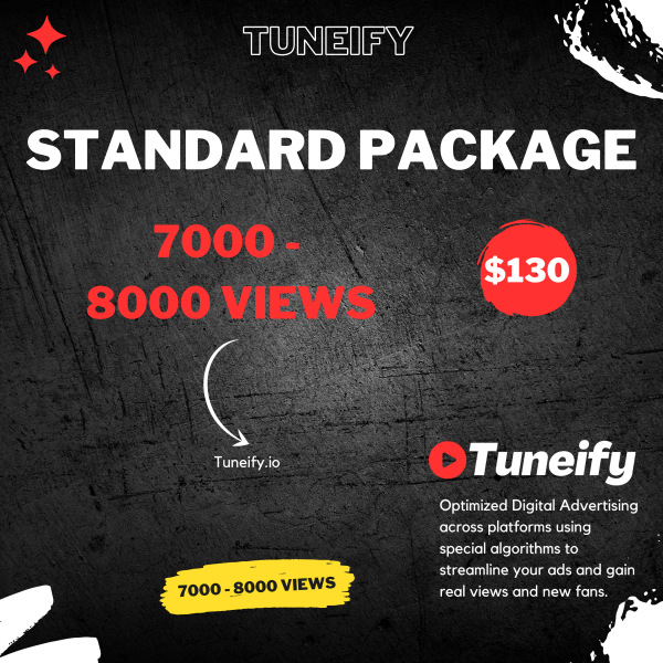 YouTube Video Promotion - Standard Package